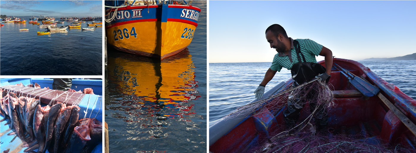Pesca Artesanal Sernapesca