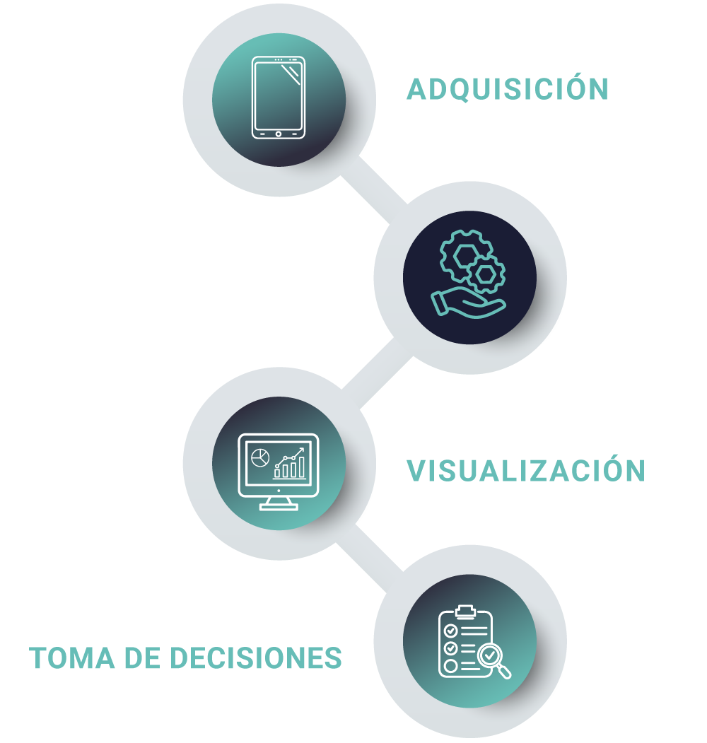 Organización del Proyecto
